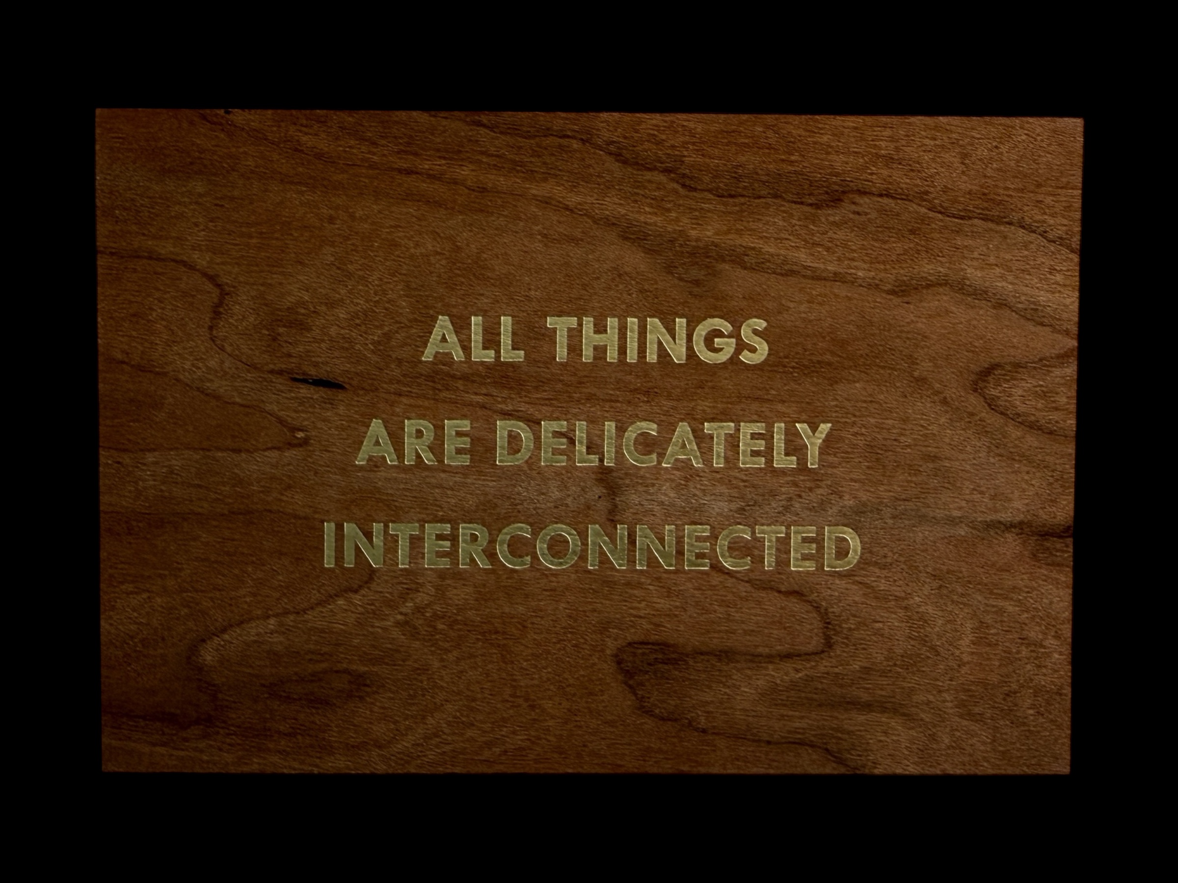 Jenny Holzer — ALL THINGS ARE DELICATELY INTERCONNECTED